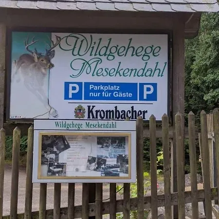 Lägenhet Flick Lüdenscheid